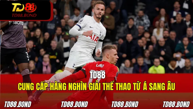 TD88 cung cấp hàng nghìn giải thể thao từ Á sang Âu đầy hào hứng
